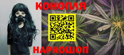 шишки Бузулук