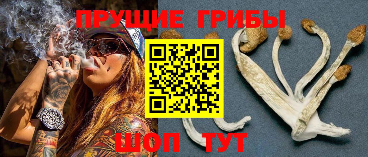 Псилоцибиновые грибы ЛСД Салехард