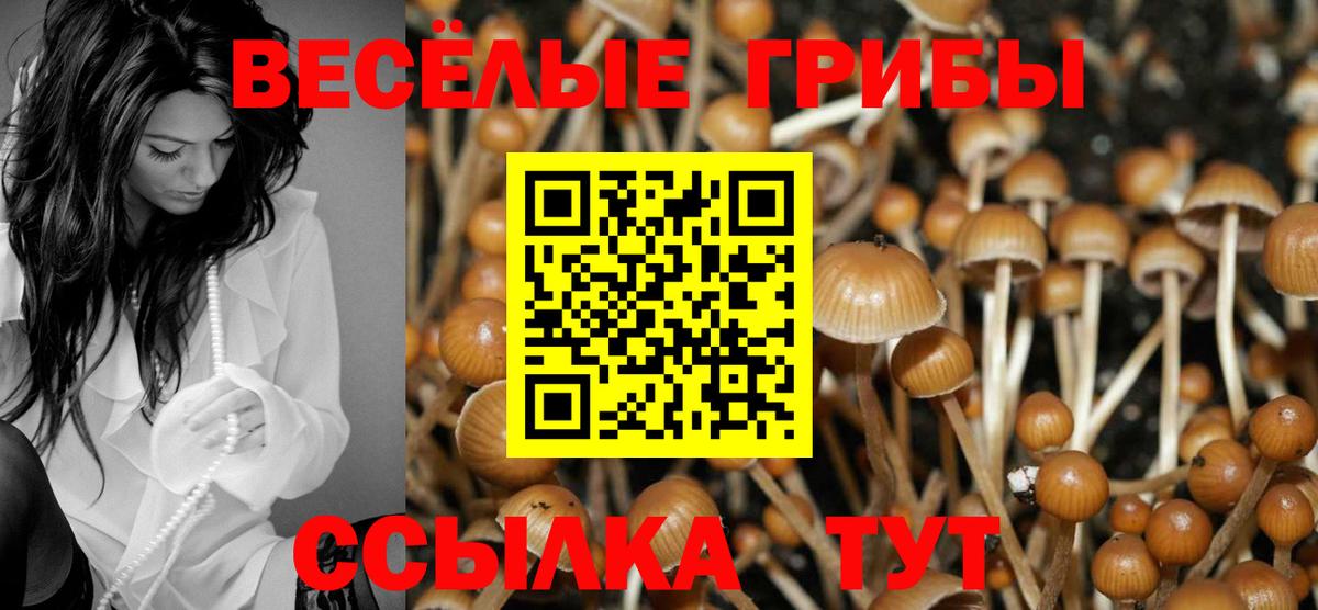 Псилоцибиновые грибы ЛСД  Вход с VPN  Салехард  Галлюциногенные грибы GOLDEN TEACHER 